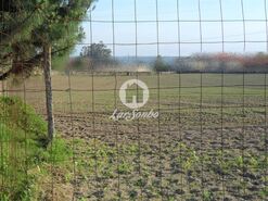 Terreno R�stico - Malta, Vila do Conde, Porto - Miniatura: 2/9