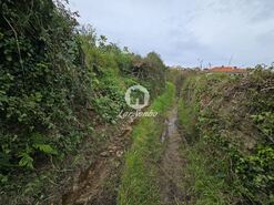 Terreno R�stico - A Ver-o-Mar, P�voa de Varzim, Porto - Miniatura: 11/26