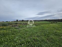 Terreno R�stico - A Ver-o-Mar, P�voa de Varzim, Porto - Miniatura: 19/26