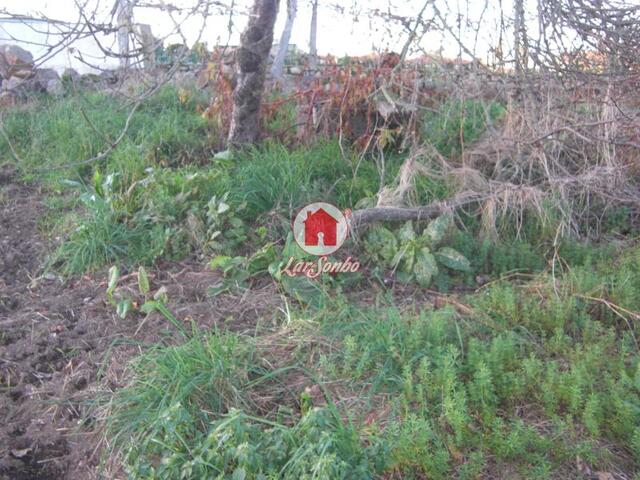 Terreno R�stico - Bagunte, Vila do Conde, Porto - Imagem grande