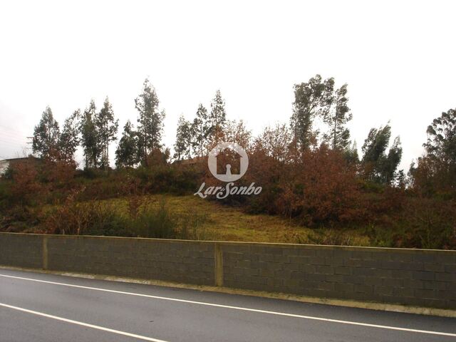 Terreno R�stico - Serzedelo, Guimar�es, Braga - Imagem grande