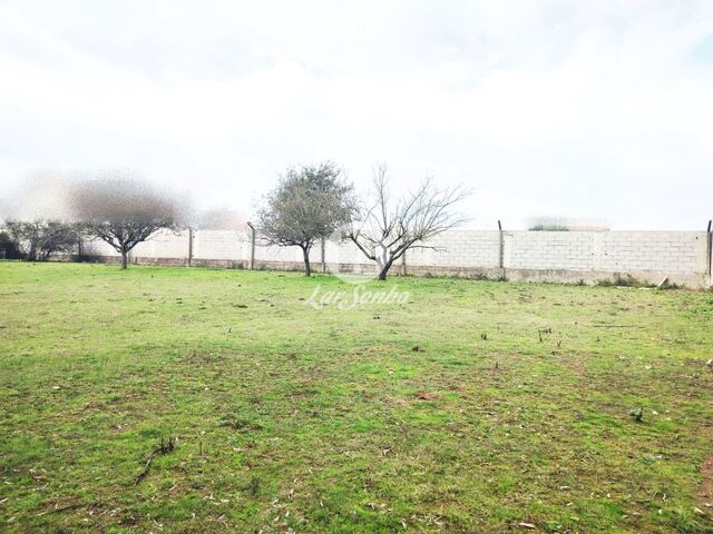 Terreno R�stico - Malta, Vila do Conde, Porto - Imagem grande