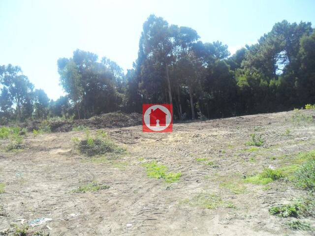 Terreno R�stico - Arvore, Vila do Conde, Porto - Imagem grande