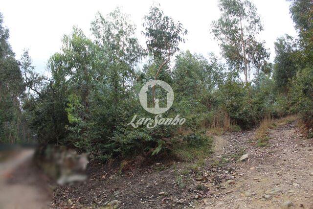 Terreno R�stico - Bagunte, Vila do Conde, Porto - Imagem grande