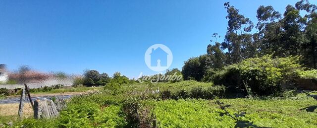 Quinta - P�voa de Varzim, P�voa de Varzim, Porto - Imagem grande