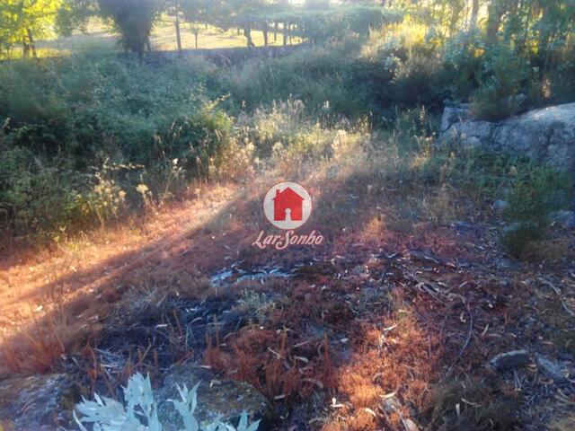 Terreno R�stico - Monte C�rdova, Santo Tirso, Porto - Imagem grande