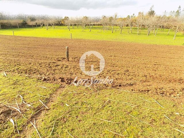 Terreno R�stico - Covelas, Trofa, Porto - Imagem grande