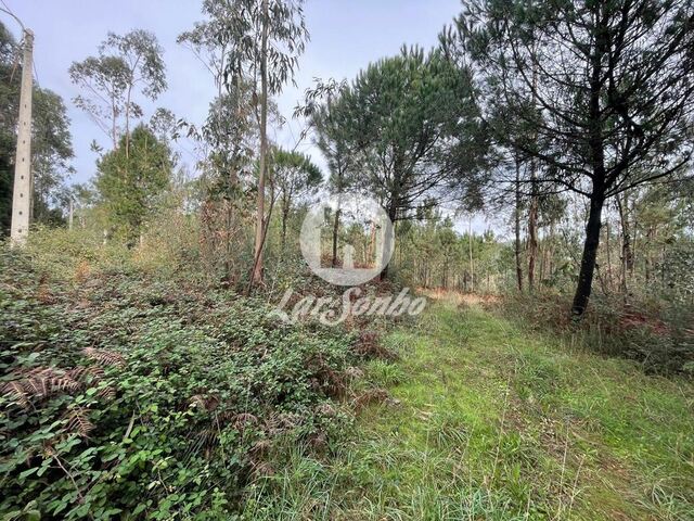Terreno R�stico - Malta, Vila do Conde, Porto - Imagem grande