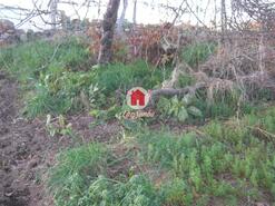 Terreno R�stico - Bagunte, Vila do Conde, Porto