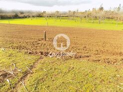 Terreno R�stico - Covelas, Trofa, Porto