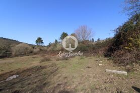 Terreno R�stico - Ribeir�o, Vila Nova de Famalic�o, Braga