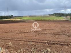 Terreno R�stico - Balazar, P�voa de Varzim, Porto