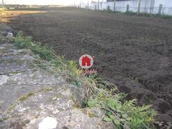 Terreno R�stico - Bagunte, Vila do Conde, Porto - Miniatura: 2/3