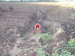 Terreno R�stico - Bagunte, Vila do Conde, Porto - Miniatura: 3/3