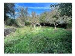 Moradia T5 - Fradelos, Vila Nova de Famalic�o, Braga - Miniatura: 6/24