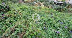 Moradia - Fornelo e Vair�o, Vila do Conde, Porto - Miniatura: 4/13