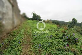 Moradia - Fornelo e Vair�o, Vila do Conde, Porto - Miniatura: 7/13