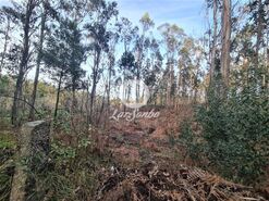 Terreno R�stico - Retorta, Vila do Conde, Porto - Miniatura: 3/3