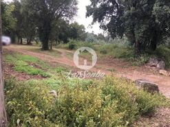 Terreno R�stico - CORONADO, Trofa, Porto - Miniatura: 1/4
