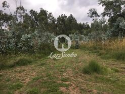 Terreno R�stico - CORONADO, Trofa, Porto - Miniatura: 3/4