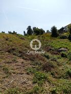 Terreno R�stico - Serzedelo, Guimar�es, Braga - Miniatura: 2/12