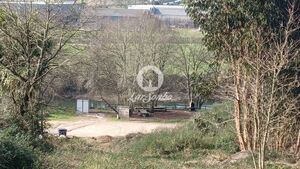 Terreno R�stico - Serzedelo, Guimar�es, Braga - Miniatura: 6/12