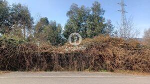 Terreno R�stico - Serzedelo, Guimar�es, Braga - Miniatura: 7/12
