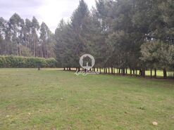 Terreno R�stico - Malta, Vila do Conde, Porto - Miniatura: 5/11