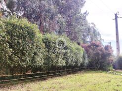 Terreno R�stico - Malta, Vila do Conde, Porto - Miniatura: 10/11
