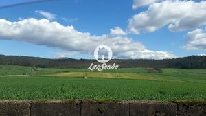Quinta T4 - Fradelos, Vila Nova de Famalic�o, Braga - Miniatura: 23/23