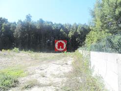 Terreno R�stico - Arvore, Vila do Conde, Porto - Miniatura: 1/3