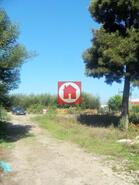 Terreno R�stico - Arvore, Vila do Conde, Porto - Miniatura: 3/3