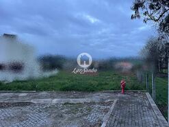 Terreno R�stico - Gondifelos, Vila Nova de Famalic�o, Braga - Miniatura: 2/3