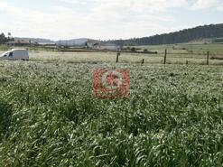 Terreno R�stico - Rates, P�voa de Varzim, Porto - Miniatura: 1/1