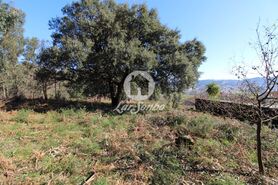 Terreno R�stico - Vermoim, Vila Nova de Famalic�o, Braga - Miniatura: 2/5