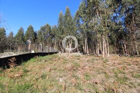 Terreno R�stico - Vermoim, Vila Nova de Famalic�o, Braga - Miniatura: 4/5
