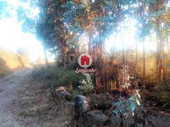 Terreno R�stico - Monte C�rdova, Santo Tirso, Porto - Miniatura: 2/11
