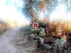 Terreno R�stico - Monte C�rdova, Santo Tirso, Porto - Miniatura: 3/11