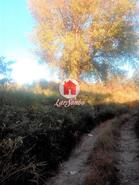 Terreno R�stico - Monte C�rdova, Santo Tirso, Porto - Miniatura: 4/11