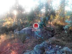 Terreno R�stico - Monte C�rdova, Santo Tirso, Porto - Miniatura: 8/11