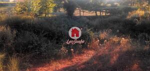 Terreno R�stico - Monte C�rdova, Santo Tirso, Porto - Miniatura: 9/11