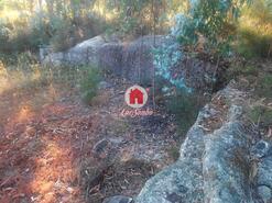 Terreno R�stico - Monte C�rdova, Santo Tirso, Porto - Miniatura: 10/11