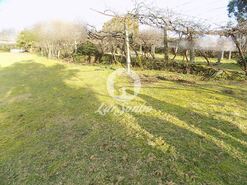 Terreno R�stico - Covelas, Trofa, Porto - Miniatura: 2/6