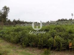 Terreno R�stico - Fradelos, Vila Nova de Famalic�o, Braga - Miniatura: 3/4