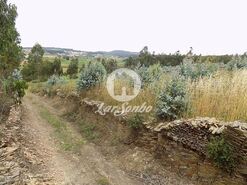 Terreno R�stico - Fradelos, Vila Nova de Famalic�o, Braga - Miniatura: 4/4