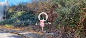 Terreno R�stico - Brufe, Vila Nova de Famalic�o, Braga - Miniatura: 1/2