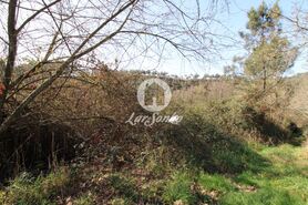 Terreno R�stico - Ribeir�o, Vila Nova de Famalic�o, Braga - Miniatura: 2/3