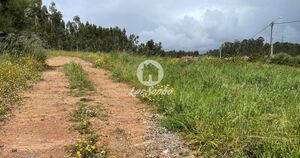 Terreno R�stico - Balazar, P�voa de Varzim, Porto - Miniatura: 3/5