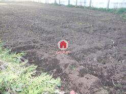 Terreno R�stico - Bagunte, Vila do Conde, Porto - Miniatura: 1/3