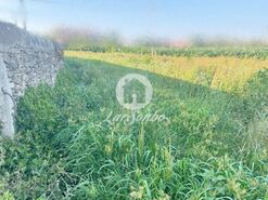 Terreno R�stico - Rates, P�voa de Varzim, Porto - Miniatura: 1/3